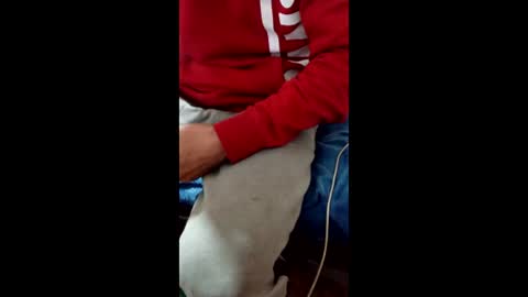 Taitotoito online show from 01-16-26, 02:04