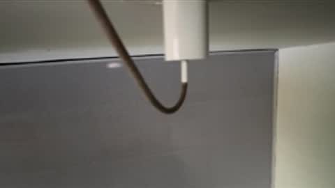 tali  online show from 04-08-26, 12:16