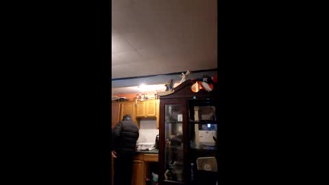 taliban809 online show from 02-06-26, 11:46