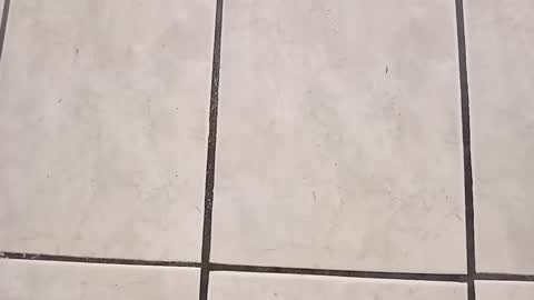 Snapshot of tall6feet7inch chatting on 09-28-25, 08:03 tall6feet7inch online show from 09-28-25, 08:03