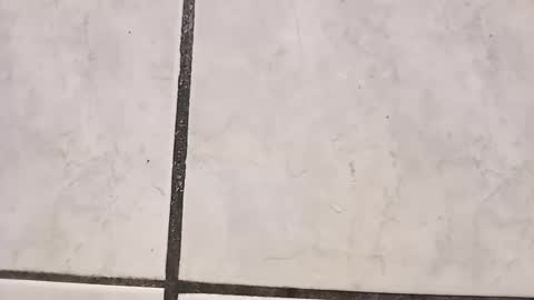 Snapshot of tall6feet7inch chatting on 09-29-25, 08:41 tall6feet7inch online show from 09-29-25, 08:41