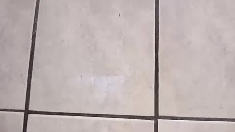 Snapshot of tall6feet7inch chatting on 10-02-25, 09:27 tall6feet7inch online show from 10-02-25, 09:27