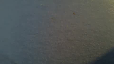 Snapshot of tallwxguy chatting on 05-22-26, 06:13 tallwxguy online show from 05-22-26, 06:13