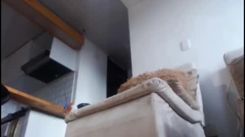 Snapshot of tamara_daniels chatting on 02-08-26, 09:07 Tamara online show from 02-08-26, 09:07