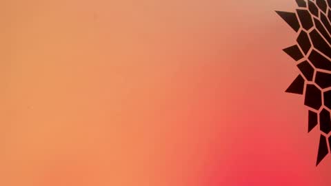 Tamara. online show from 02-25-25, 03:49