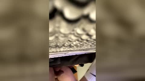 tampa0boner0donor online show from 01-19-26, 05:22