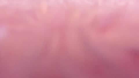 Snapshot of tamy_ian chatting on 01-31-25, 10:42 Tamy ian online show from 01-31-25, 10:42