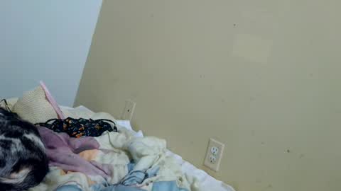tastycakes96 online show from 06-28-26, 04:29