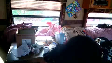 Snapshot of tastycakes999 chatting on 11-18-25, 06:45 tastycakes999 online show from 11-18-25, 06:45