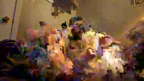 Snapshot of tatt2dood chatting on 11-17-25, 03:34 tatt2dood online show from 11-17-25, 03:34