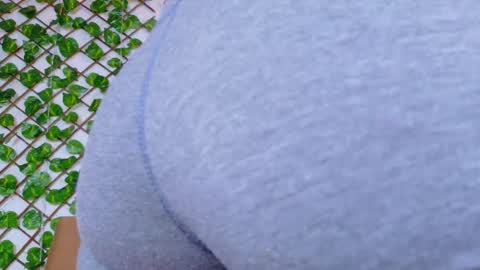 Taty Miller online show from 02-15-26, 07:21