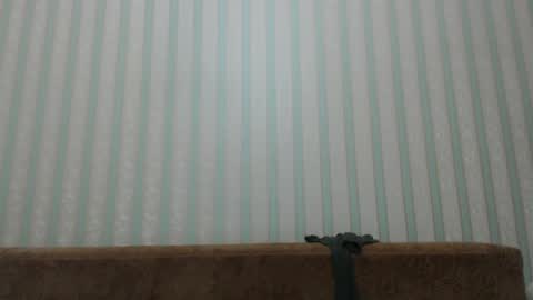 Snapshot of tayler_durden_1 chatting on 12-20-24, 05:57 ... online show from 12-20-24, 05:57