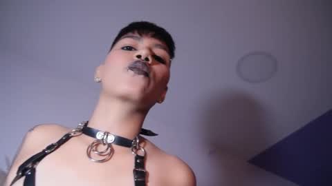 Taylor online show from 11-05-25, 08:09