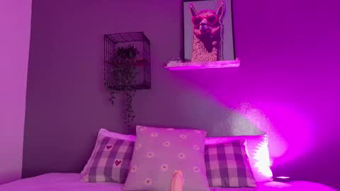 TAYLOR  online show from 11-18-25, 11:47