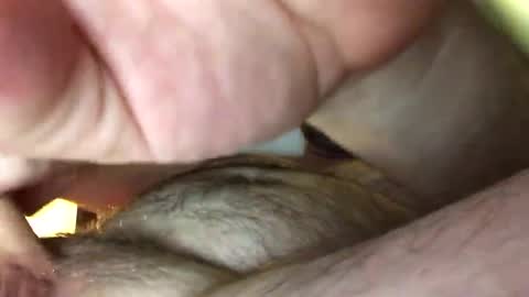 Tbiz82 online show from 02-27-25, 05:24