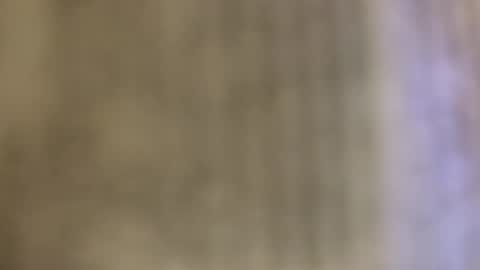 Snapshot of tboy833 chatting on 10-24-25, 12:30 Luis online show from 10-24-25, 12:30