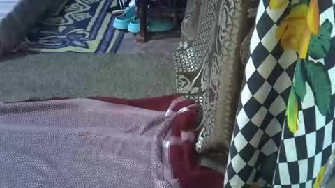 teabody1 online show from 03-08-26, 08:12