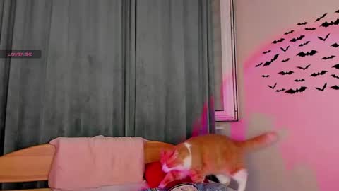 Snapshot of teaseme_bella chatting on 07-18-26, 07:17 teaseme_bella online show from 07-18-26, 07:17