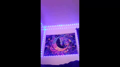 tedestep2 online show from 04-17-26, 02:14