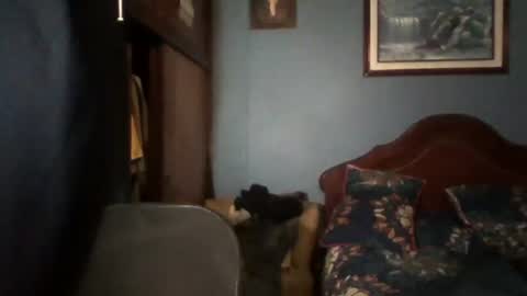 Snapshot of tender_eldelatienda chatting on 07-22-26, 12:35 Fabio Canavaro online show from 07-22-26, 12:35