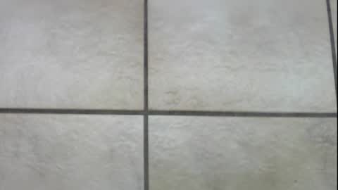 teninchheels online show from 12-22-24, 01:00