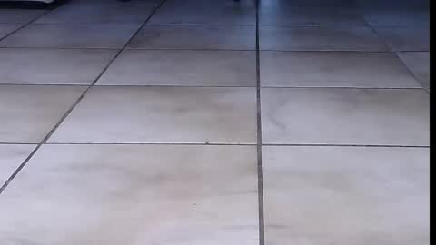 teninchheels online show from 09-16-25, 06:31