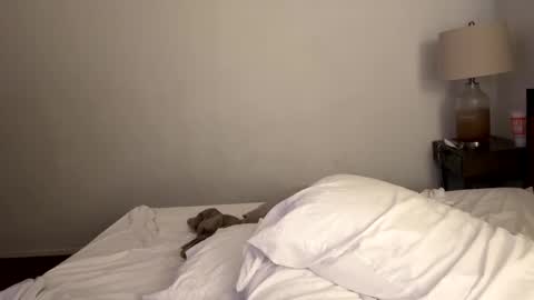 Tennman online show from 02-04-25, 02:43