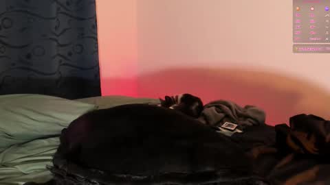 Snapshot of teo_369 chatting on 03-01-25, 09:15 Teo online show from 03-01-25, 09:15