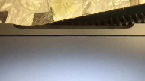 Snapshot of terence00000007 chatting on 11-09-25, 04:55 Terence online show from 11-09-25, 04:55