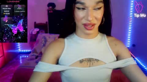 Terra obsession online show from 03-23-26, 06:45