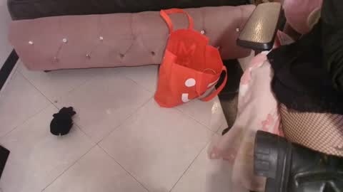 Terra Elowen online show from 12-21-25, 11:28