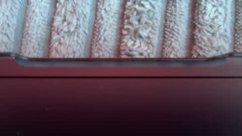 Snapshot of tetebumbum chatting on 08-03-26, 01:05 tetebumbum online show from 08-03-26, 01:05