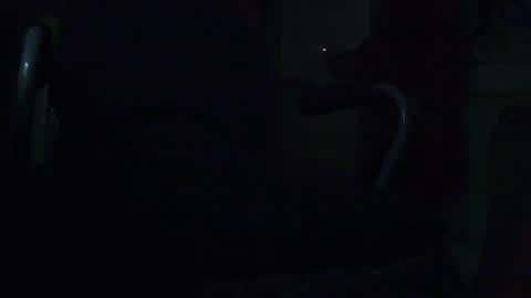 Snapshot of tetuo2 chatting on 09-28-25, 09:36 tetuo2 online show from 09-28-25, 09:36