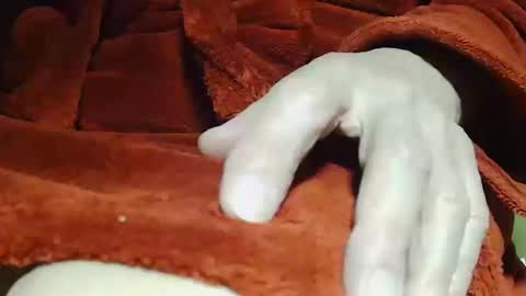 Snapshot of tetuo2 chatting on 10-14-25, 04:13 tetuo2 online show from 10-14-25, 04:13