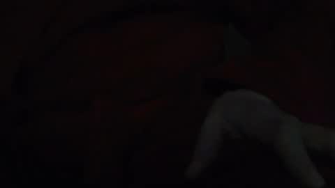 Snapshot of tetuo2 chatting on 11-17-25, 05:13 tetuo2 online show from 11-17-25, 05:13