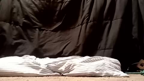 thatb1 online show from 09-28-25, 05:13