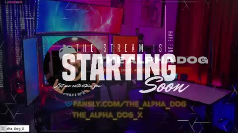 Snapshot of the_alpha_dog_xxx chatting on 06-29-26, 03:23 the_alpha_dog_xxx online show from 06-29-26, 03:23