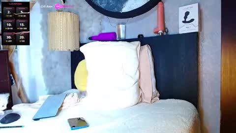 Snapshot of the_dog_lian chatting on 11-09-25, 02:21 the dog lian online show from 11-09-25, 02:21