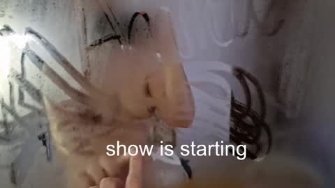 Anna online show from 05-23-26, 12:05