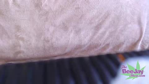 TheBeeJayShow online show from 12-04-24, 03:43