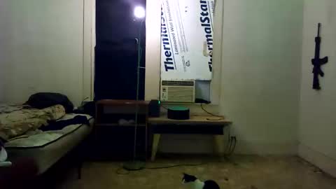 theepussypirate online show from 02-28-26, 05:52