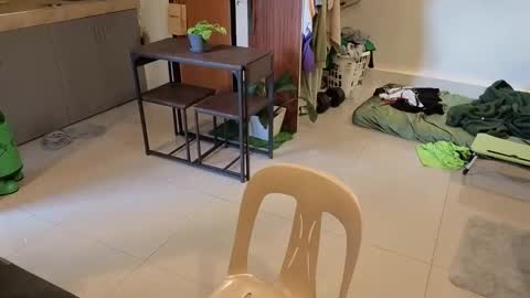 Green online show from 04-01-26, 06:58