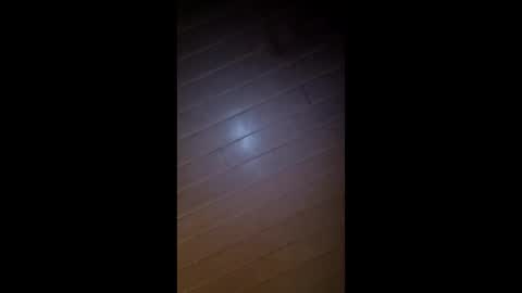 theonlyboi43ver online show from 02-26-26, 08:35