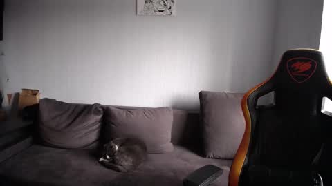 Nick   online show from 11-23-25, 08:47