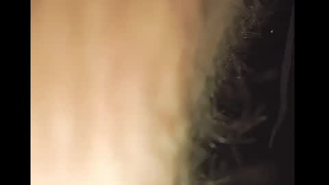 TheSexorcis online show from 02-25-25, 12:58