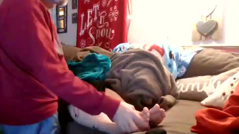 Snapshot of theycallmemellowthebreeze chatting on 12-28-24, 12:04 mellow online show from 12-28-24, 12:04