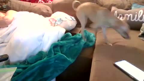 Snapshot of theycallmemellowthebreeze chatting on 02-05-25, 03:55 mellow online show from 02-05-25, 03:55