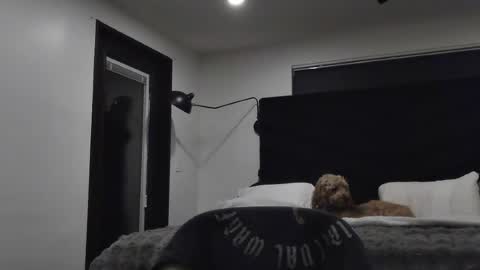 thiccbull12 online show from 06-29-26, 07:58
