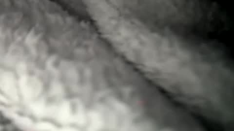 Snapshot of thickuncut7148704 chatting on 02-07-25, 09:16 thickuncut7148704 online show from 02-07-25, 09:16