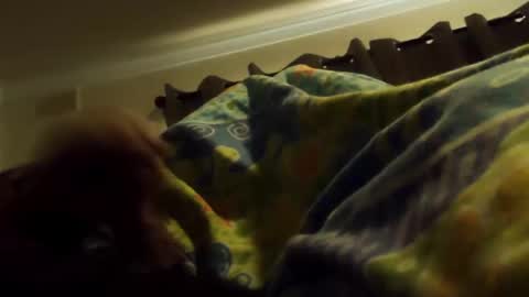 Snapshot of thisbloke96 chatting on 02-10-26, 04:38 thisbloke96 online show from 02-10-26, 04:38